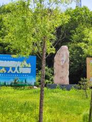 Zhong Mountain Forest Park (guanzhongdiyixia)
