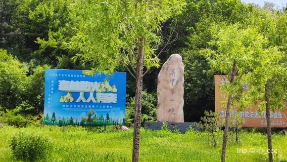 Zhong Mountain Forest Park (guanzhongdiyixia)