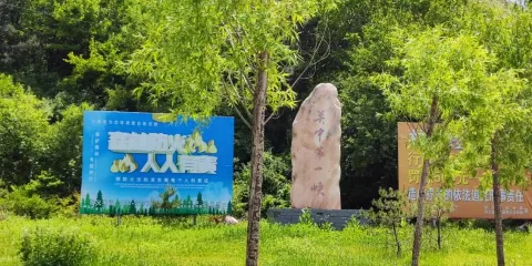 仲山森林公園