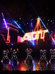 America's Got Talent presents Super Stars Live