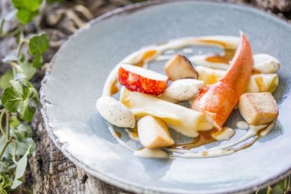 ALAIN DUCASSE AT THE DORCHESTER