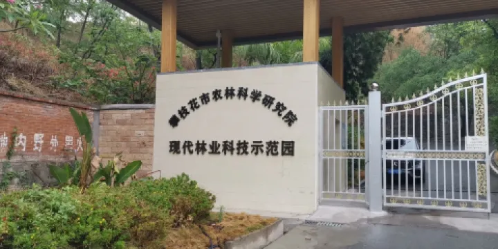 攀枝花亞熱帶植物標本園