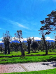 Parque Metropolitano El Tunal