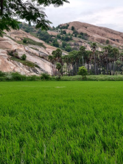 Thiruparankundram ECO park