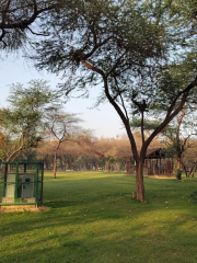 Priya Park