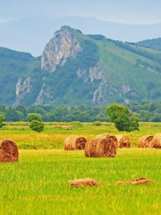 Баняла / Ууру Хайуэй Раунд Эбаут