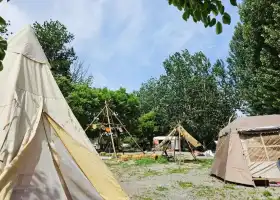 海棠·共生營地露營