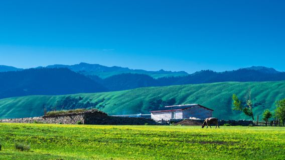 Zhaosu Grassland