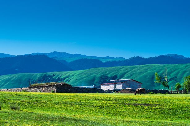Zhaosu Grassland