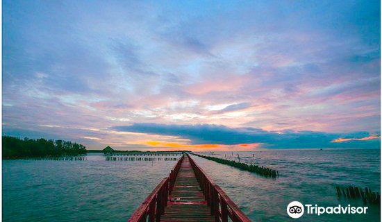 The Red Bridge, Dolphin Watching Area