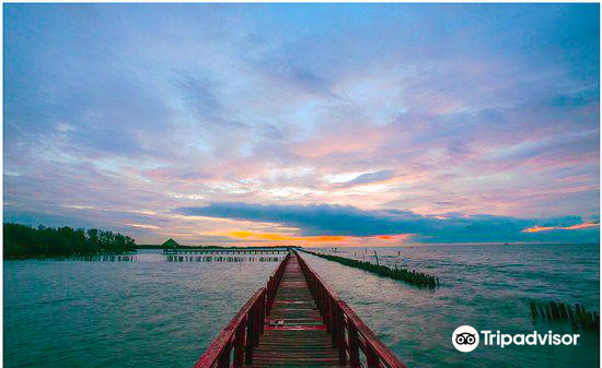 The Red Bridge, Dolphin Watching Area