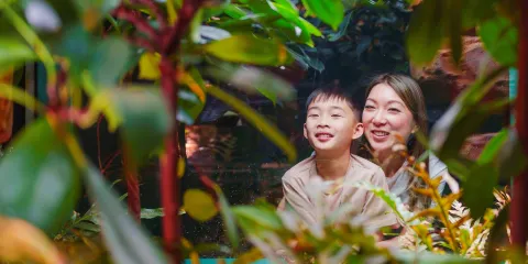 英國倫敦+攝政公園+福爾摩斯博物館+9¾站台-中文地陪徒步