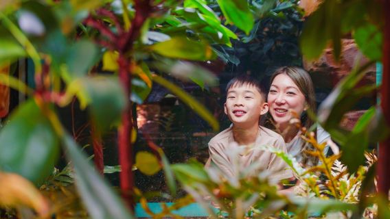 英國倫敦+攝政公園+福爾摩斯博物館+9¾站台-中文地陪徒步