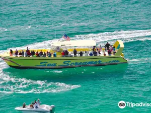Sea Screamer