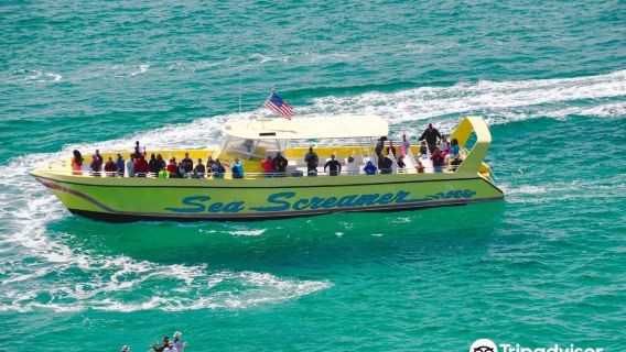 Sea Screamer