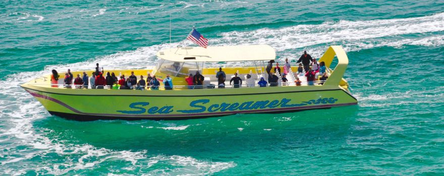 Sea Screamer