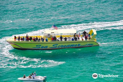 Sea Screamer
