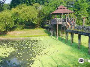 D R Seenivasagam Recreational Park