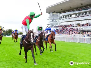 Galway Races