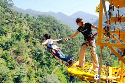 Jumpin Heights - The OG Bungy People!