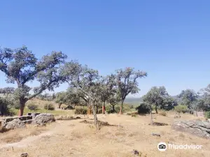 Parco Naturale Los Alcornocales