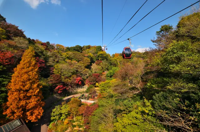 Fall Foliage Sightseeing in Kobe