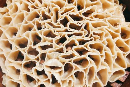 SHE HUI ZHU YI NONG GU XIAO YUAN