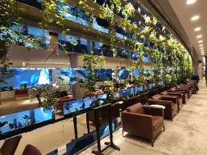 Al Maha Lounge