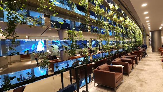 Doha