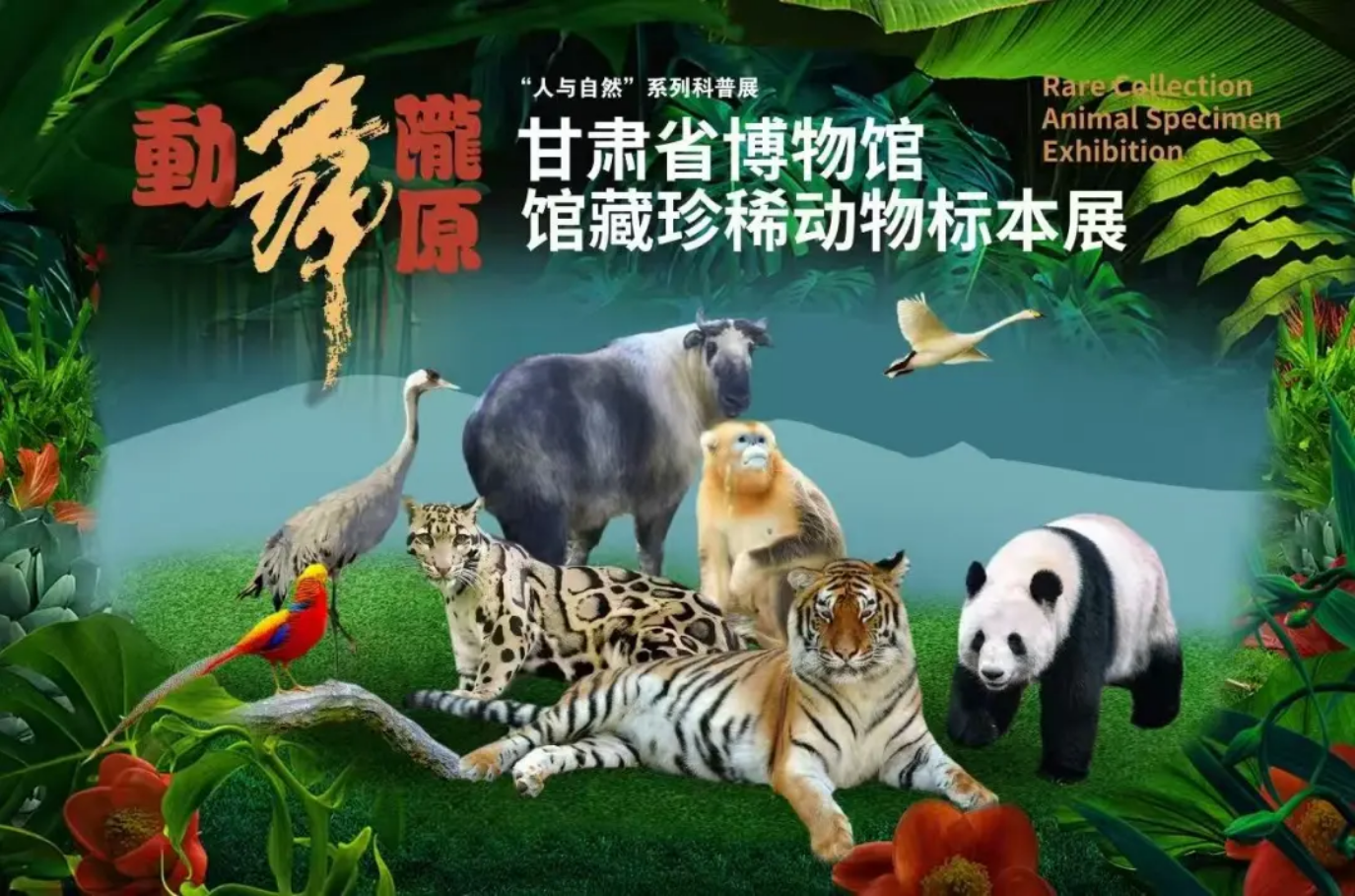 館藏珍稀動物標本展 甘肅省博物館 日期及行程