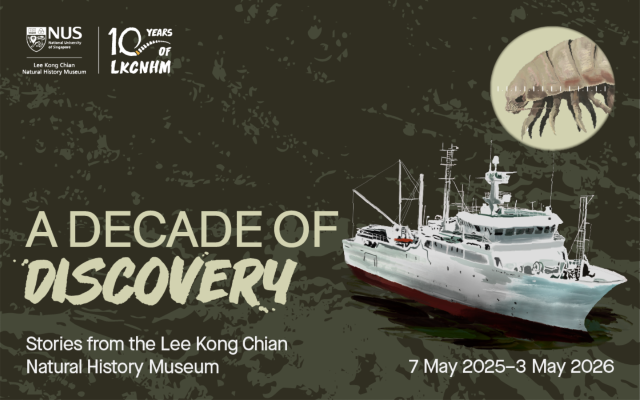 A Decade of Discovery | Lee Kong Chian Natural History Museum, Singapore
