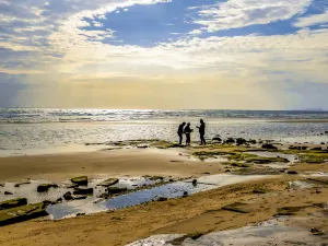 Shell Beach