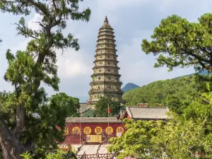 Feihong Tower
