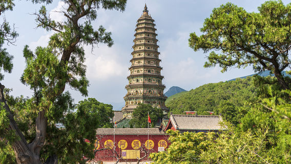 Feihong Tower