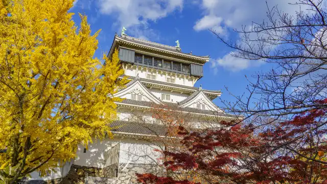 Hotels near Kokura Castle