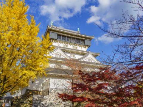 北九州 行程 規劃 6日5夜