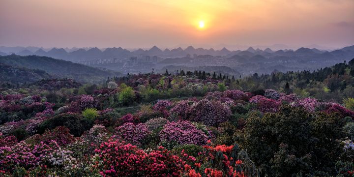 Baili Dujuan Pudi Scenic Area