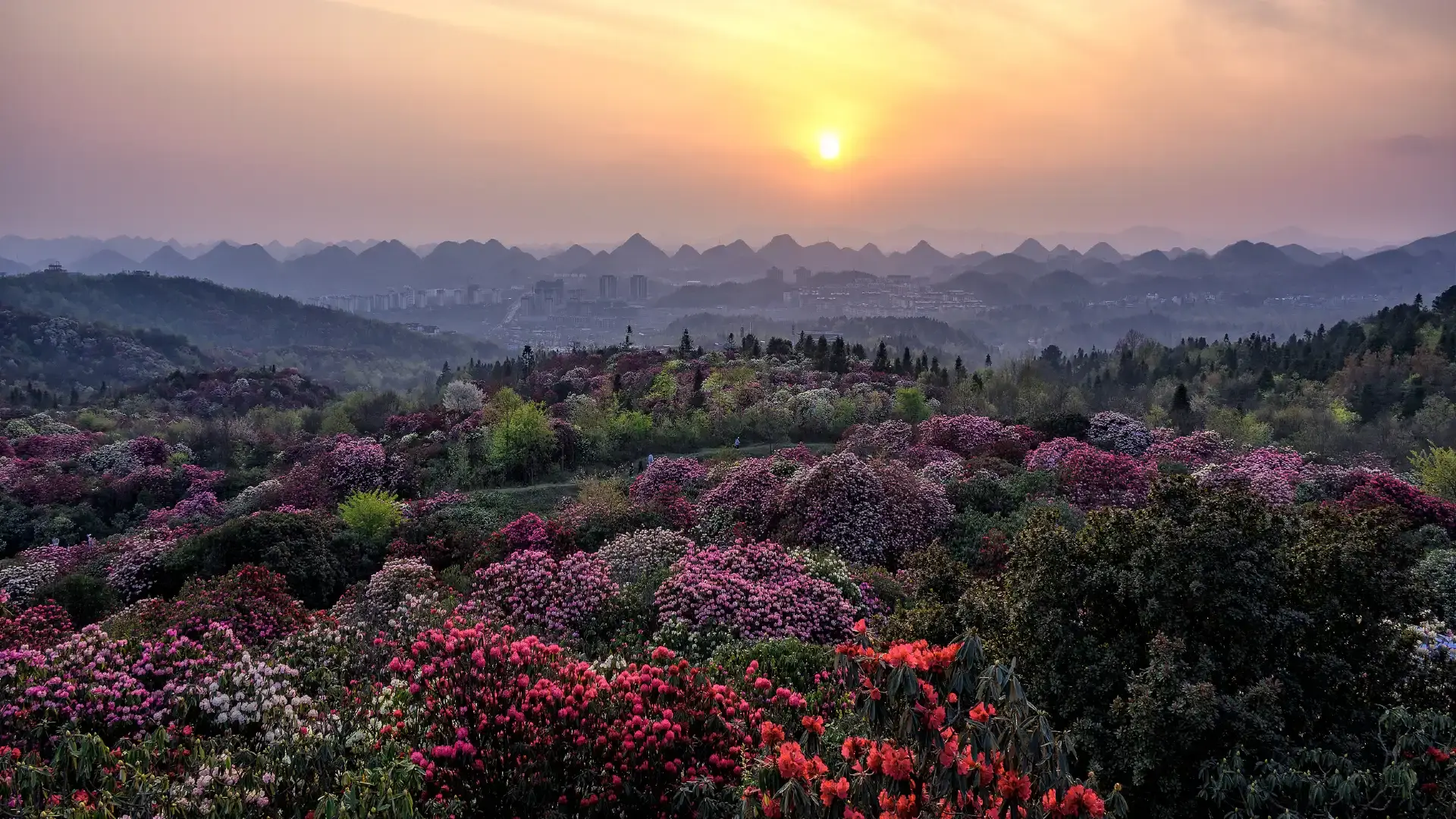 Hotels near Baili Rhododendron·Pudi Scenic Area