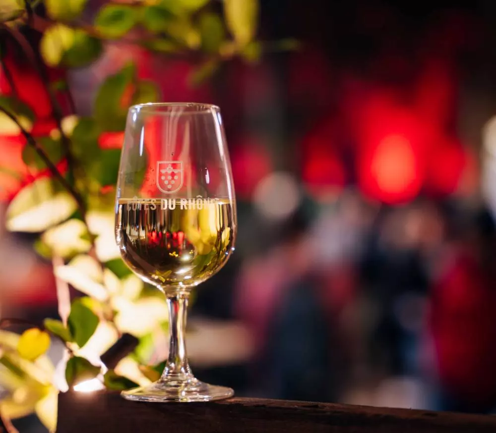 The Festival of Côtes du Rhône Wines and the New Vintage | Avignon