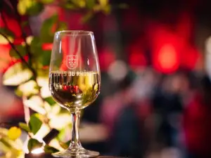 The Festival of Côtes du Rhône Wines and the New Vintage