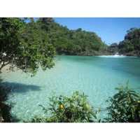 Sempu Island Nature Reserve