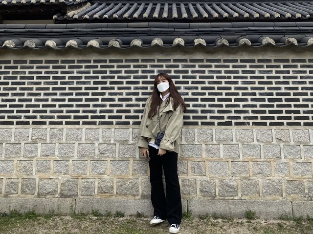 봄이 찾아온 창덕궁◡̈ 