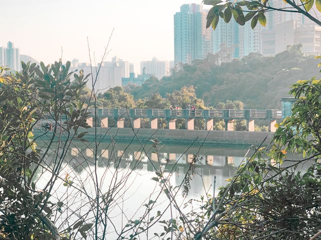 ［香港仔水塘 輕鬆親子遊］
