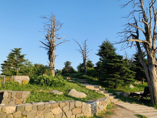 용평스키여행