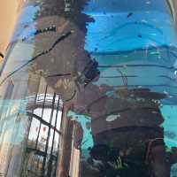 海洋公園萬豪酒店，猶如住在幻想世界一般