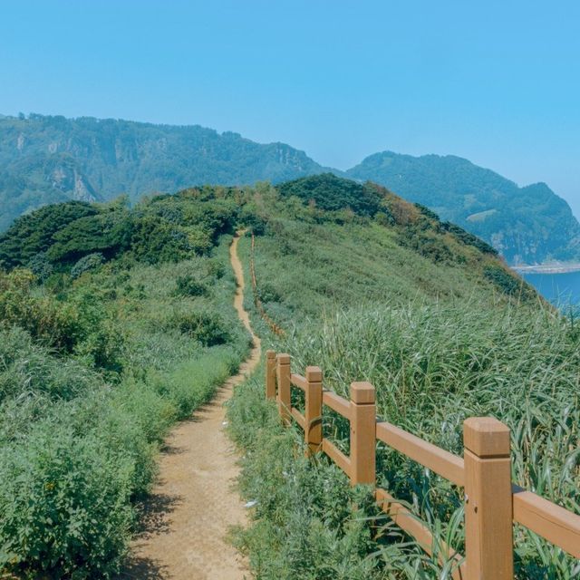 울릉도 자유여행, 관음도 트래킹
