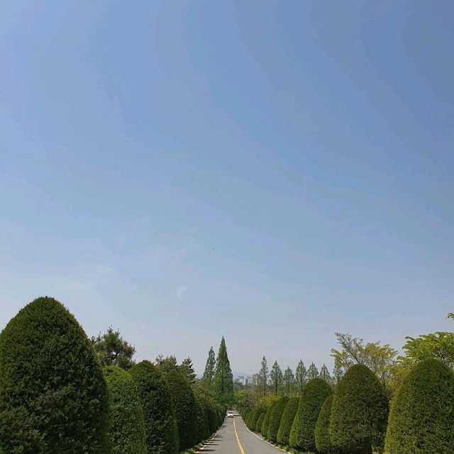 푸릇함의 끝판왕, 나주 산림자원연구소