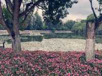 Green Lake in Kunming