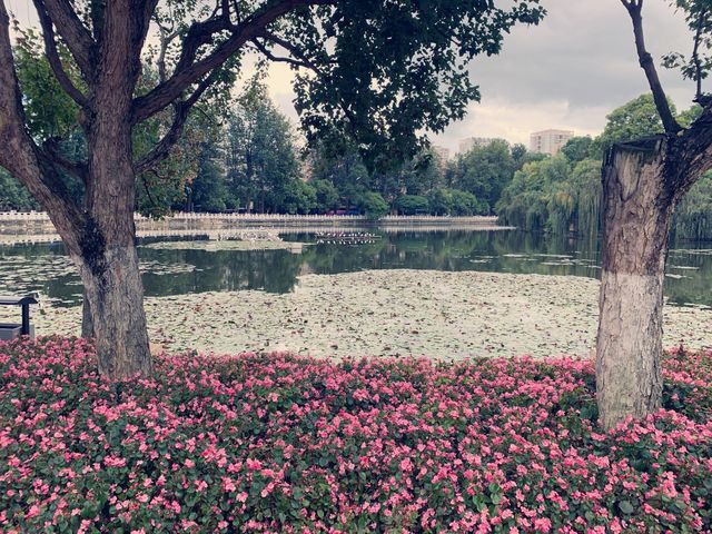 Green Lake in Kunming