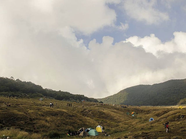 Hiking the Pangrango Mountain